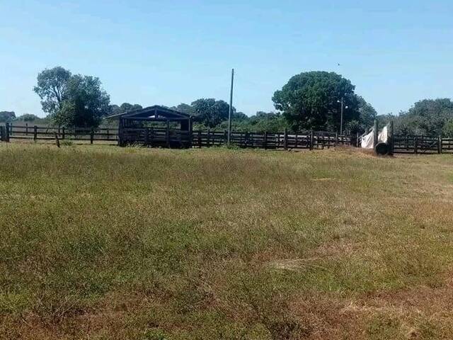 #3790 - Fazenda para Venda em Dois Irmãos do Tocantins - TO