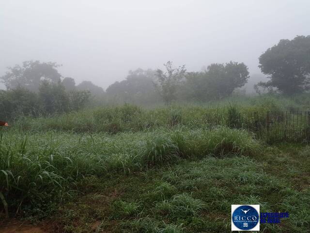 #3792 - Fazenda para Venda em Floriano - PI