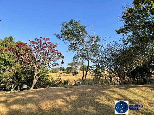#3793 - Fazenda para Venda em Itauçu - GO
