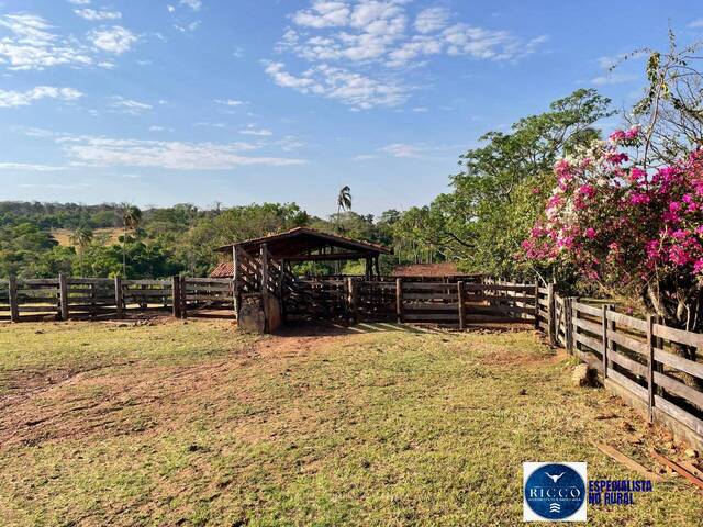 #3793 - Fazenda para Venda em Itauçu - GO