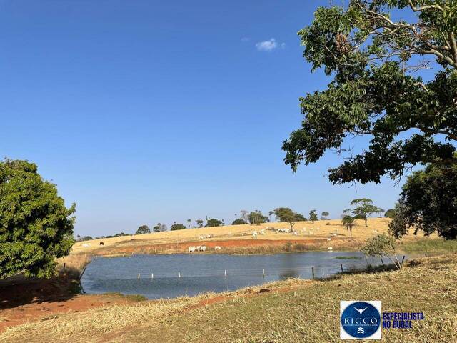 Venda em zona rural - Itauçu