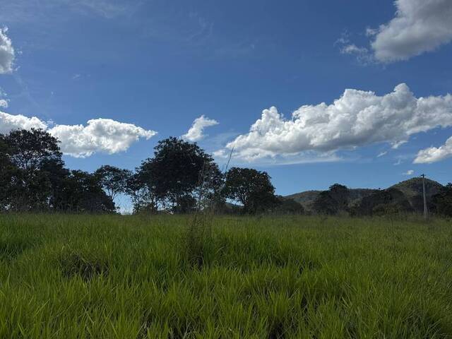 Fazenda para Venda em Cavalcante - 4