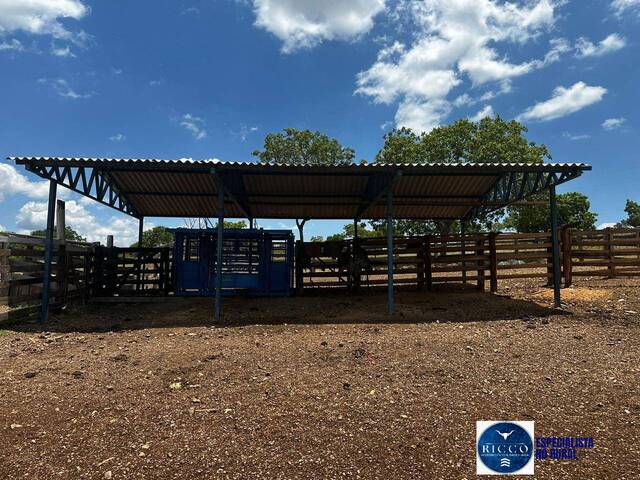 Fazenda para Venda em Cavalcante - 5