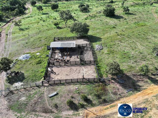 #3794 - Fazenda para Venda em Cavalcante - GO