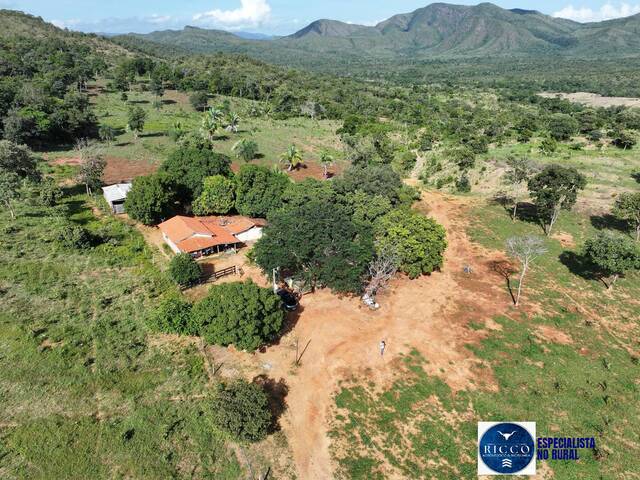#3794 - Fazenda para Venda em Cavalcante - GO