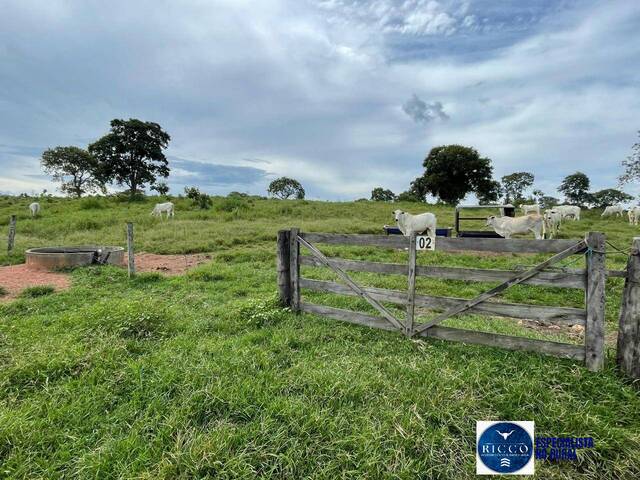 #3798 - Fazenda para Venda em São Miguel do Araguaia - GO