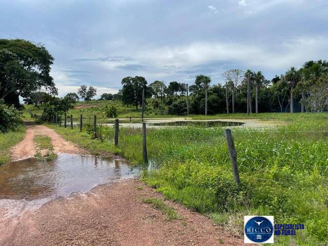 Venda em zona rural - São Miguel do Araguaia