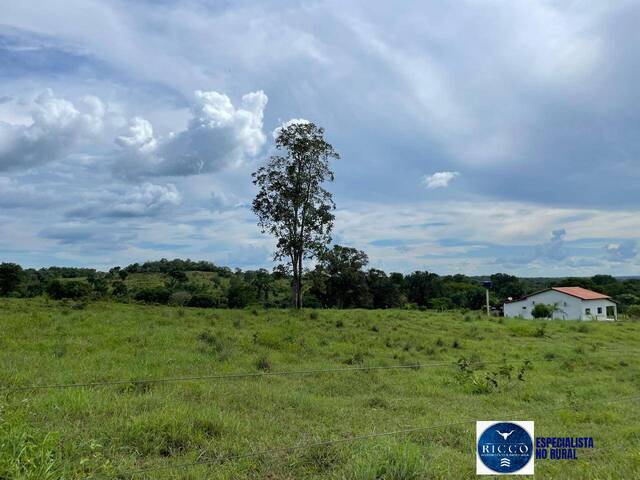 #3798 - Fazenda para Venda em São Miguel do Araguaia - GO