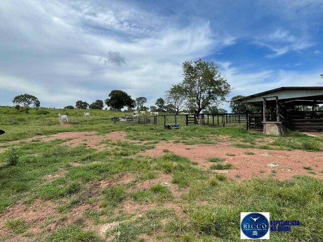 #3798 - Fazenda para Venda em São Miguel do Araguaia - GO