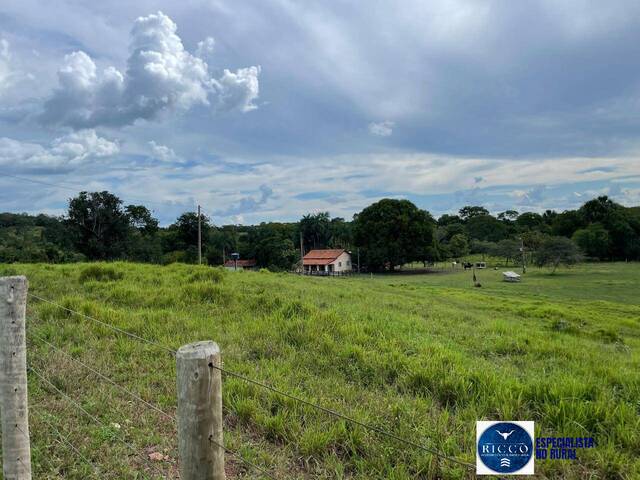 #3798 - Fazenda para Venda em São Miguel do Araguaia - GO