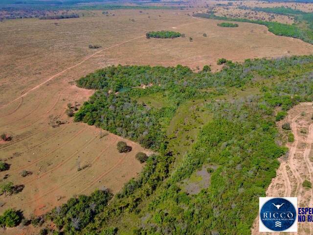 Fazenda para Venda em Serranópolis - 4