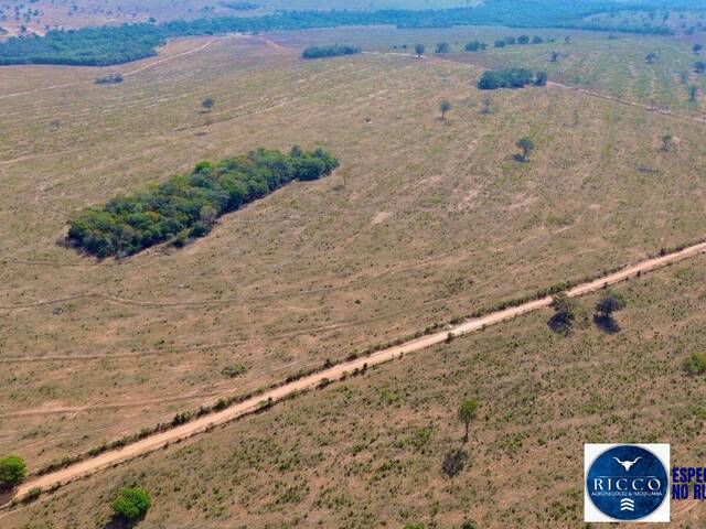 #3800 - Fazenda para Venda em Serranópolis - GO