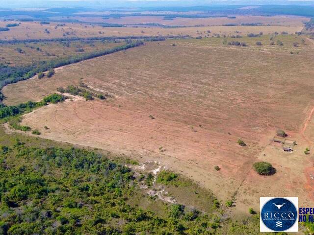 #3800 - Fazenda para Venda em Serranópolis - GO