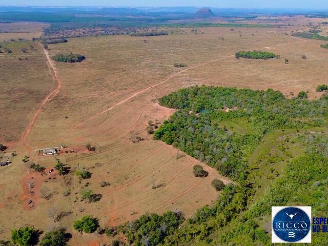 #3800 - Fazenda para Venda em Serranópolis - GO