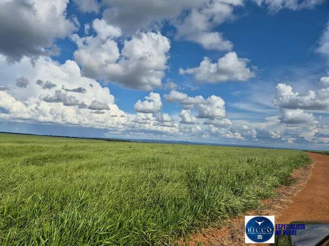 #3805 - Fazenda para Venda em General Carneiro - MT