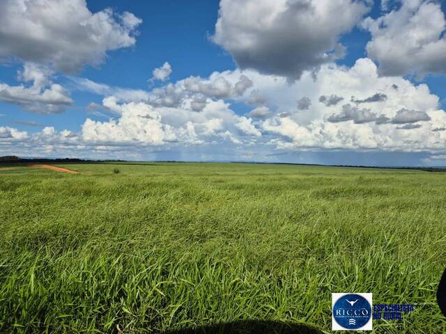 #3805 - Fazenda para Venda em General Carneiro - MT