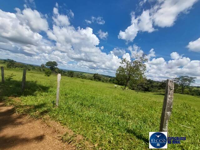 #3808 - Fazenda para Venda em Senador Canedo - GO