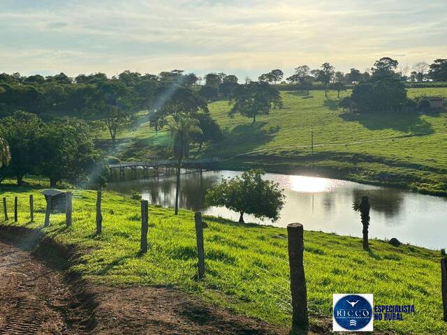 #3808 - Fazenda para Venda em Senador Canedo - GO