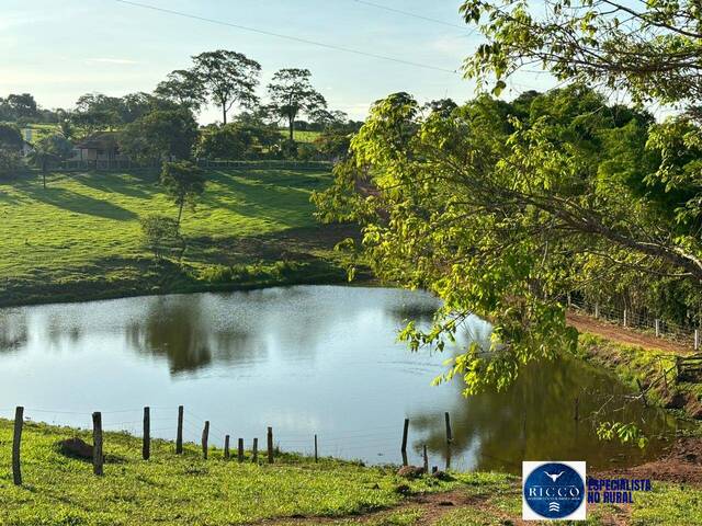 Venda em zona rural - Senador Canedo