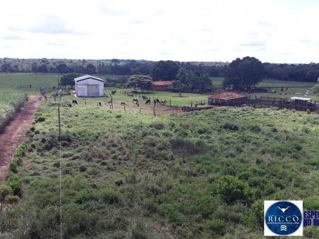 #3813 - Fazenda para Venda em Acreúna - GO