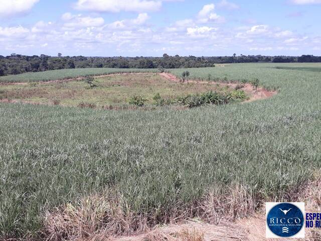 #3813 - Fazenda para Venda em Acreúna - GO