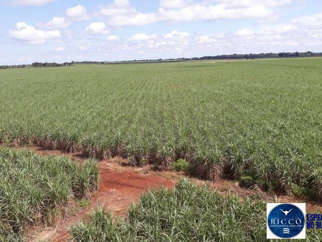 Fazenda para Venda em Acreúna - 5