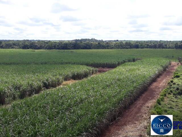 #3813 - Fazenda para Venda em Acreúna - GO