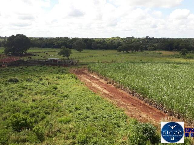 #3813 - Fazenda para Venda em Acreúna - GO