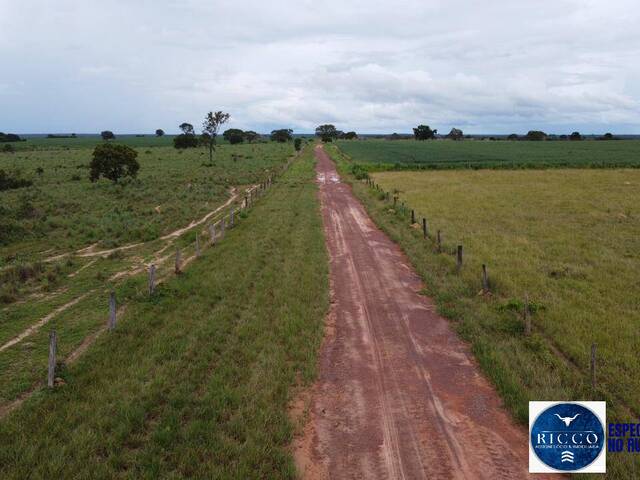 #3814 - Fazenda para Venda em Aparecida de Goiânia - GO