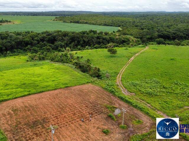 #3814 - Fazenda para Venda em Aparecida de Goiânia - GO
