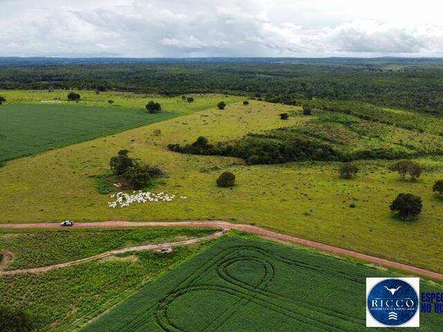 #3814 - Fazenda para Venda em Aparecida de Goiânia - GO