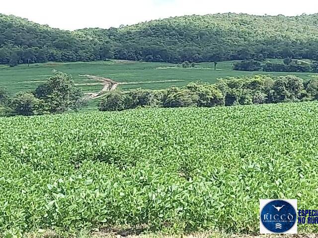 Venda em zona rural - Cezarina