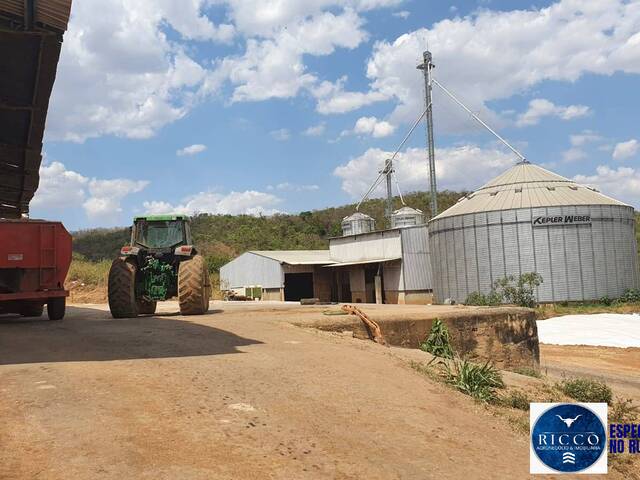 #3816 - Fazenda para Venda em Cezarina - GO