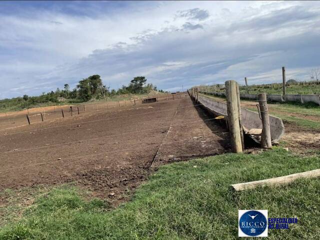#3816 - Fazenda para Venda em Cezarina - GO