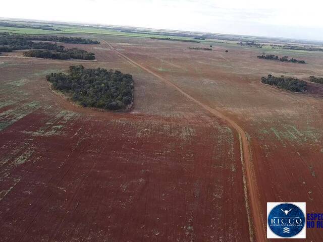 #3818 - Fazenda para Venda em Acreúna - GO