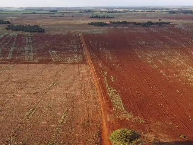 #3818 - Fazenda para Venda em Acreúna - GO