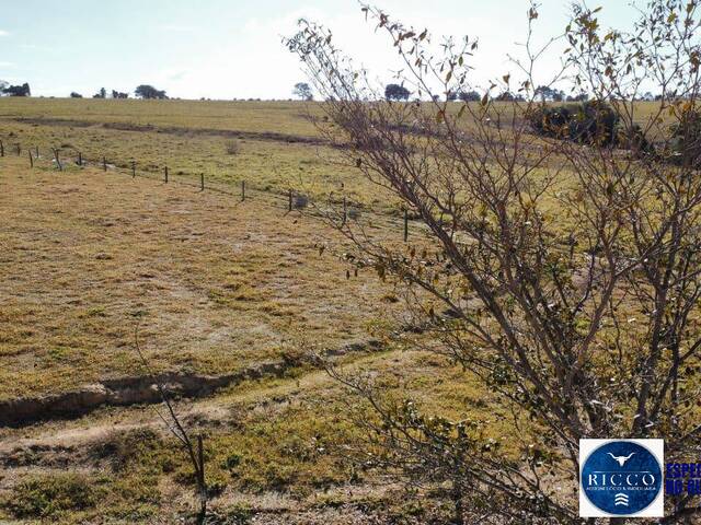 Fazenda para Venda em Itapuranga - 4