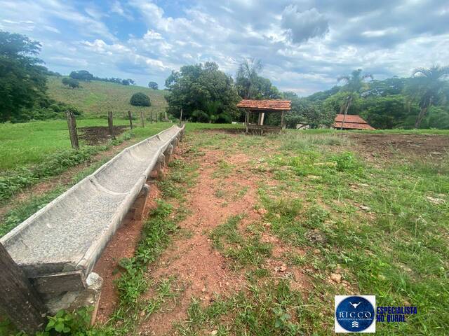 #3821 - Chácara para Venda em Taquaral de Goiás - GO