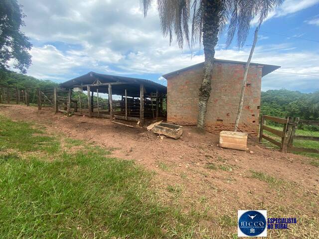 Chácara para Venda em Taquaral de Goiás - 4