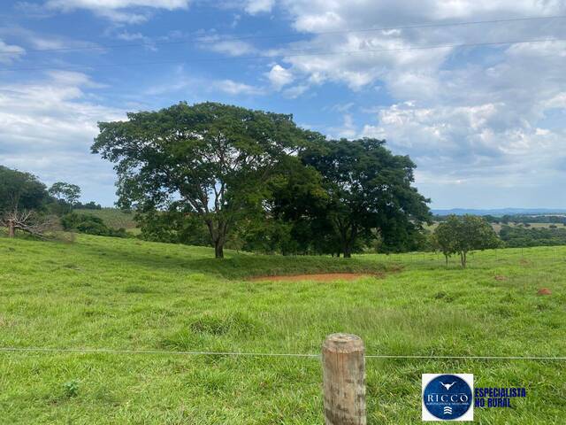Venda em zona rural - Taquaral de Goiás
