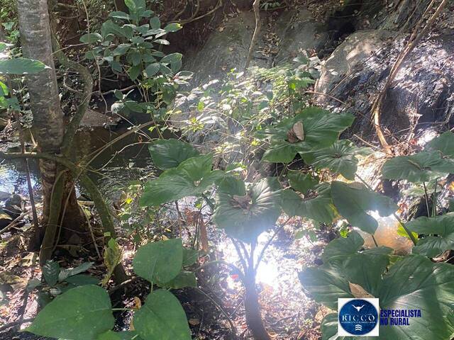 Chácara para Venda em Taquaral de Goiás - 5