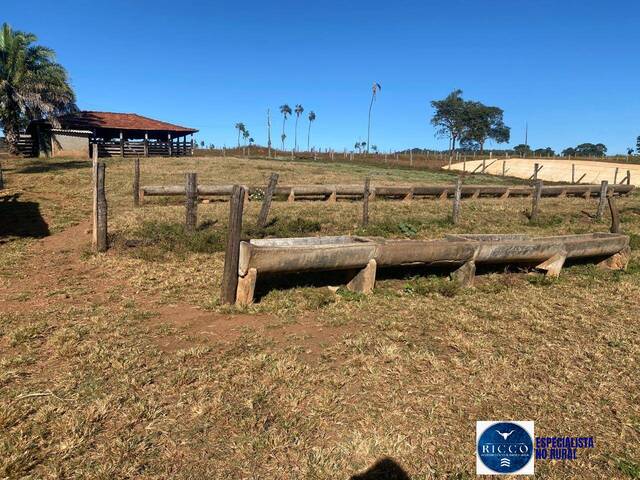 #3822 - Chácara para Venda em Taquaral de Goiás - GO
