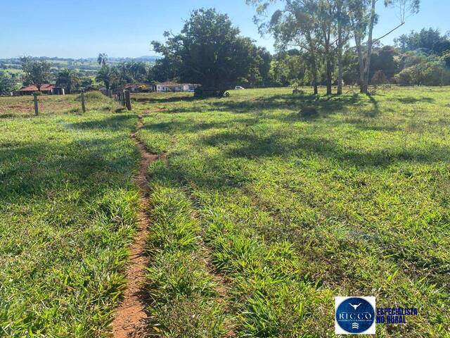 Venda em zona rural - Taquaral de Goiás
