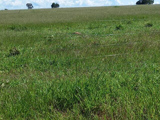 Venda em zona rural - Pontal do Araguaia