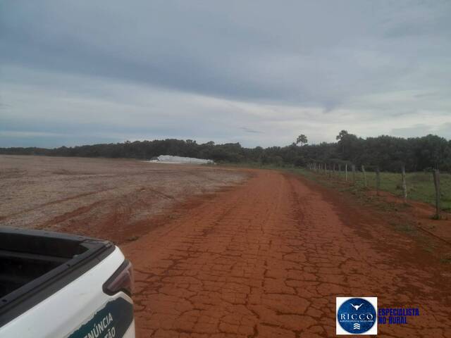 #3827 - Fazenda para Venda em Ribeirãozinho - MT