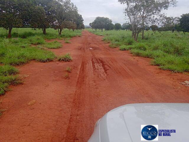 #3830 - Fazenda para Venda em Paraíso do Tocantins - TO