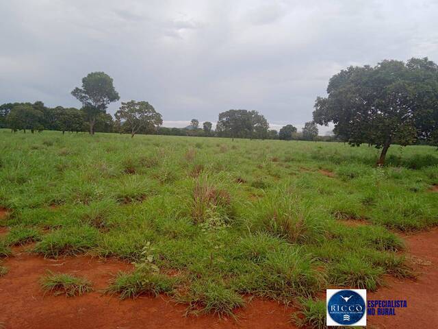 #3830 - Fazenda para Venda em Paraíso do Tocantins - TO