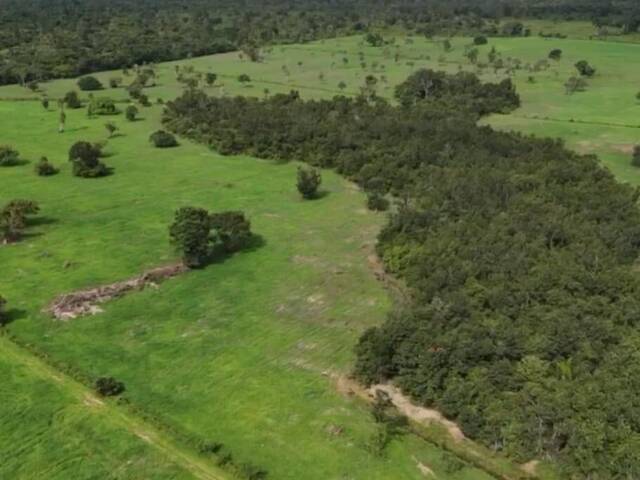 #3832 - Fazenda para Venda em Ananás - TO