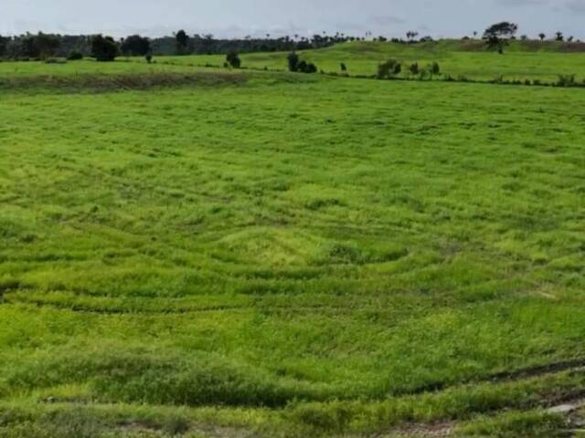 #3832 - Fazenda para Venda em Ananás - TO