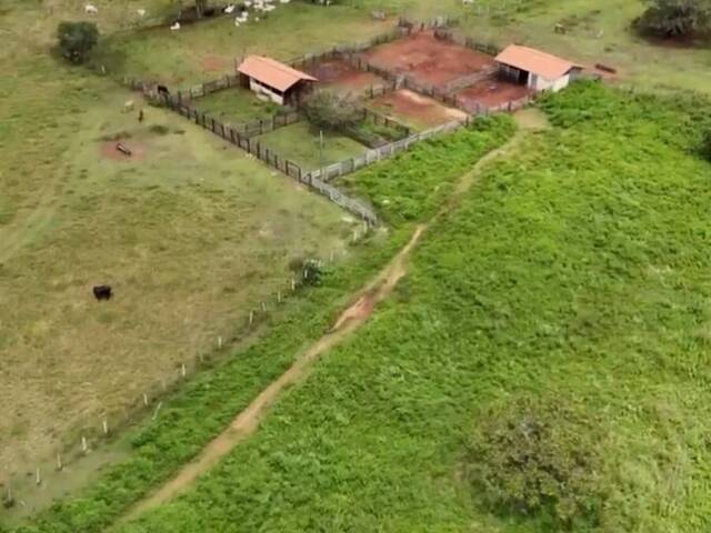 #3832 - Fazenda para Venda em Ananás - TO